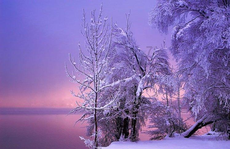 李靖灭突厥:月黑雁飞高,单于夜遁逃,欲将轻骑逐,大雪满弓刀