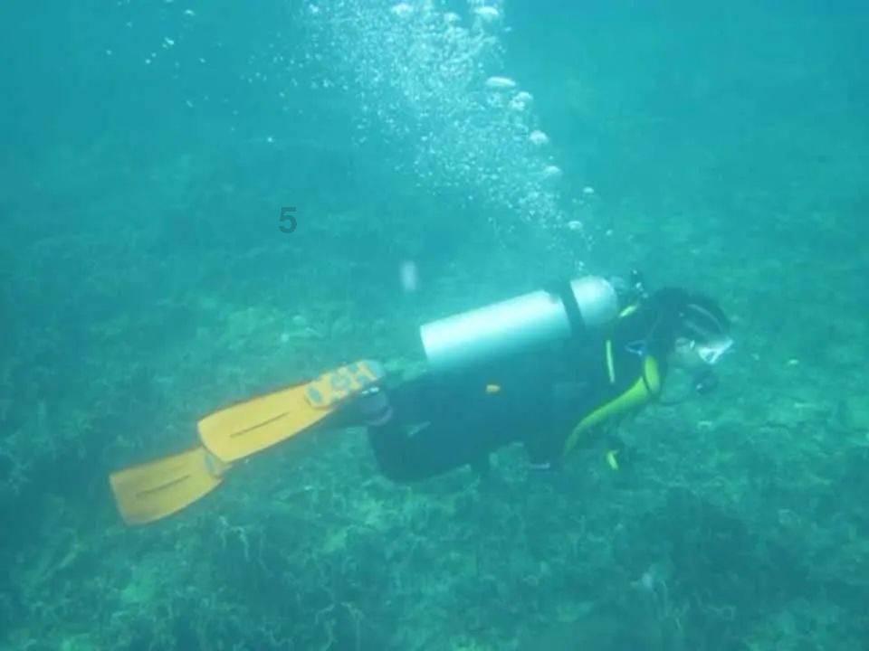 逃离金色的沙漠