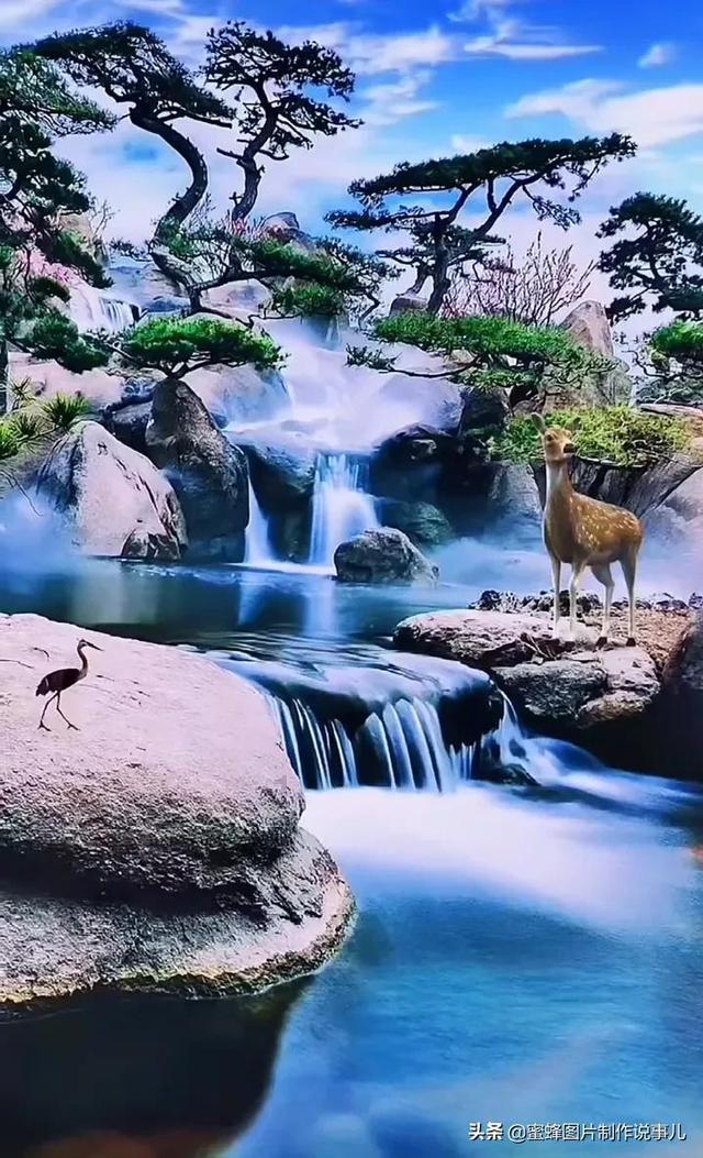起重机卡车找不同