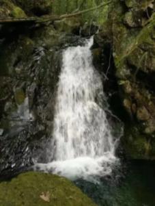 江苏跳水王飞龙多大游戏画面